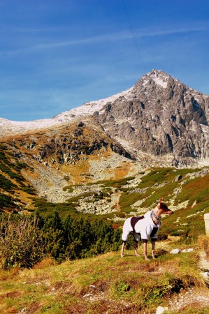 Centehua in High Tatras under the Lomnicky stit 